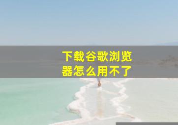 下载谷歌浏览器怎么用不了