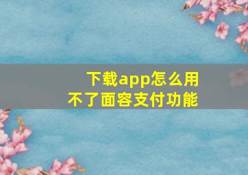 下载app怎么用不了面容支付功能