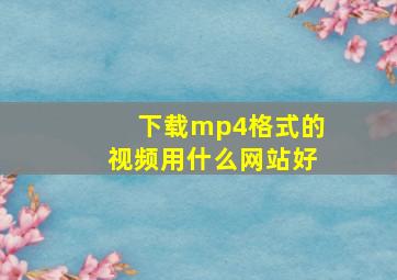 下载mp4格式的视频用什么网站好