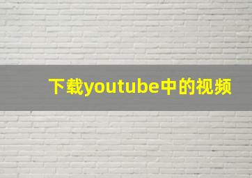 下载youtube中的视频