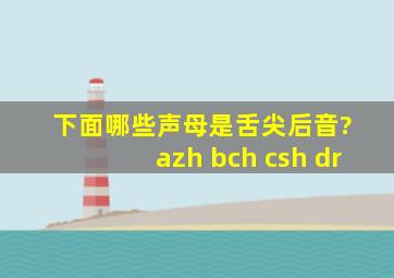 下面哪些声母是舌尖后音? azh bch csh dr