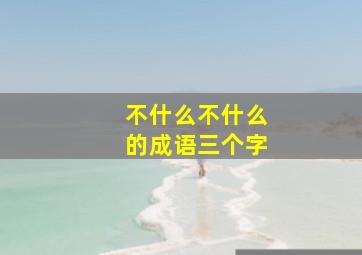 不什么不什么的成语三个字