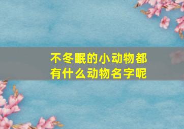 不冬眠的小动物都有什么动物名字呢