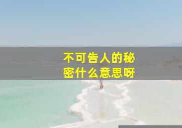 不可告人的秘密什么意思呀