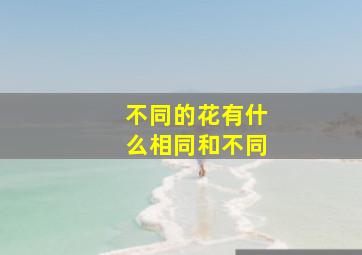 不同的花有什么相同和不同