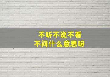 不听不说不看不问什么意思呀