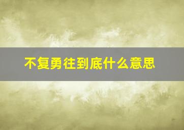 不复勇往到底什么意思