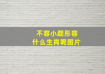 不容小觑形容什么生肖呢图片