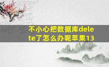 不小心把数据库delete了怎么办呢苹果13