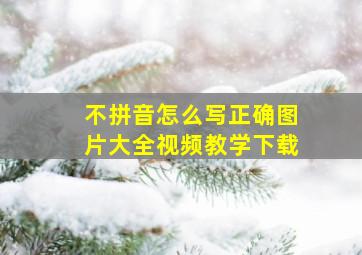 不拼音怎么写正确图片大全视频教学下载