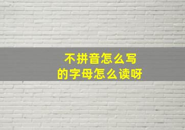 不拼音怎么写的字母怎么读呀