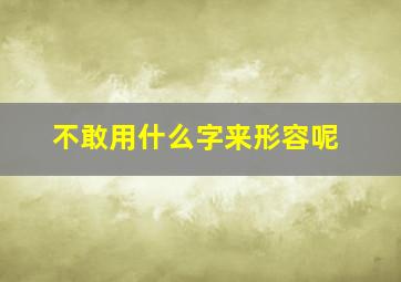 不敢用什么字来形容呢