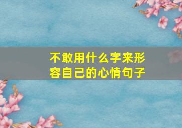 不敢用什么字来形容自己的心情句子