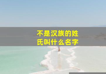 不是汉族的姓氏叫什么名字