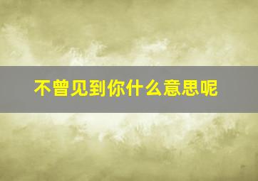 不曾见到你什么意思呢