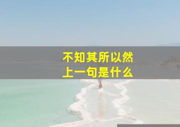 不知其所以然上一句是什么