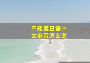 不知道日语中文谐音怎么说