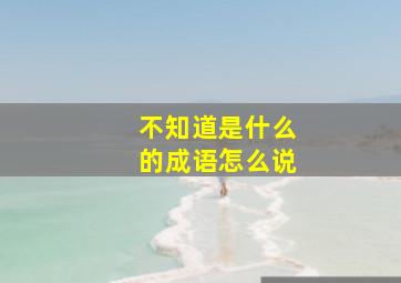 不知道是什么的成语怎么说