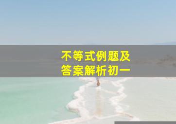 不等式例题及答案解析初一