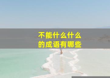 不能什么什么的成语有哪些