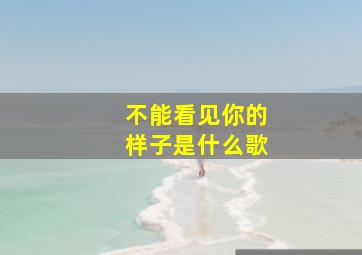 不能看见你的样子是什么歌