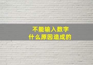 不能输入数字什么原因造成的