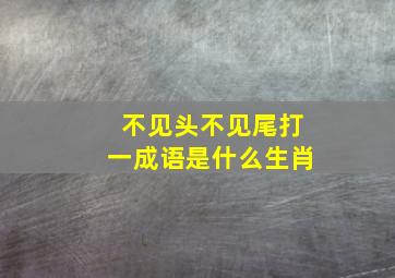 不见头不见尾打一成语是什么生肖