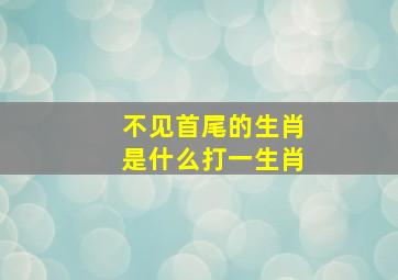 不见首尾的生肖是什么打一生肖