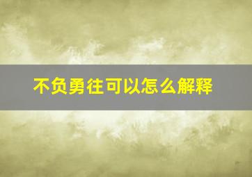 不负勇往可以怎么解释