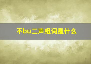 不bu二声组词是什么