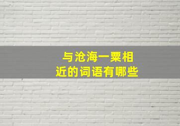 与沧海一粟相近的词语有哪些