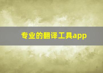 专业的翻译工具app