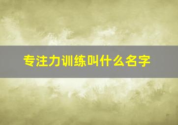 专注力训练叫什么名字