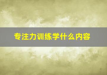 专注力训练学什么内容