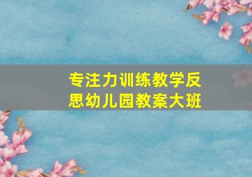 专注力训练教学反思幼儿园教案大班