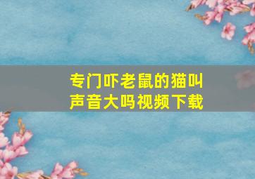 专门吓老鼠的猫叫声音大吗视频下载