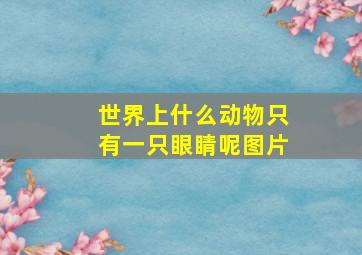 世界上什么动物只有一只眼睛呢图片