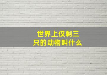 世界上仅剩三只的动物叫什么