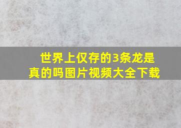 世界上仅存的3条龙是真的吗图片视频大全下载