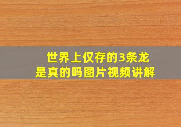 世界上仅存的3条龙是真的吗图片视频讲解