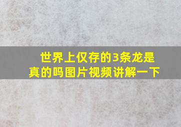 世界上仅存的3条龙是真的吗图片视频讲解一下