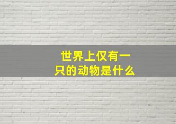 世界上仅有一只的动物是什么