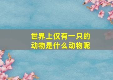 世界上仅有一只的动物是什么动物呢