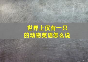 世界上仅有一只的动物英语怎么说