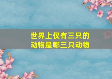 世界上仅有三只的动物是哪三只动物