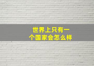 世界上只有一个国家会怎么样