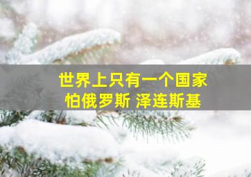 世界上只有一个国家怕俄罗斯 泽连斯基