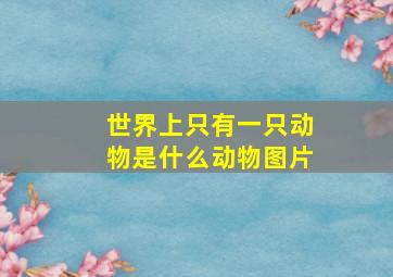 世界上只有一只动物是什么动物图片