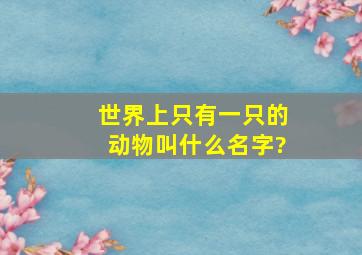 世界上只有一只的动物叫什么名字?