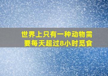 世界上只有一种动物需要每天超过8小时觅食